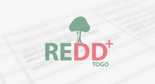 Options stratégiques de la REDD+ au Togo